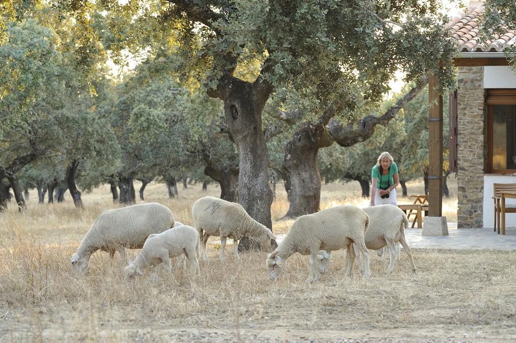 Finca Las Abubillas Jaraicejo Екстериор снимка